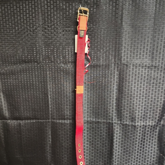 OU Dog Collar - Picture 4 of 4